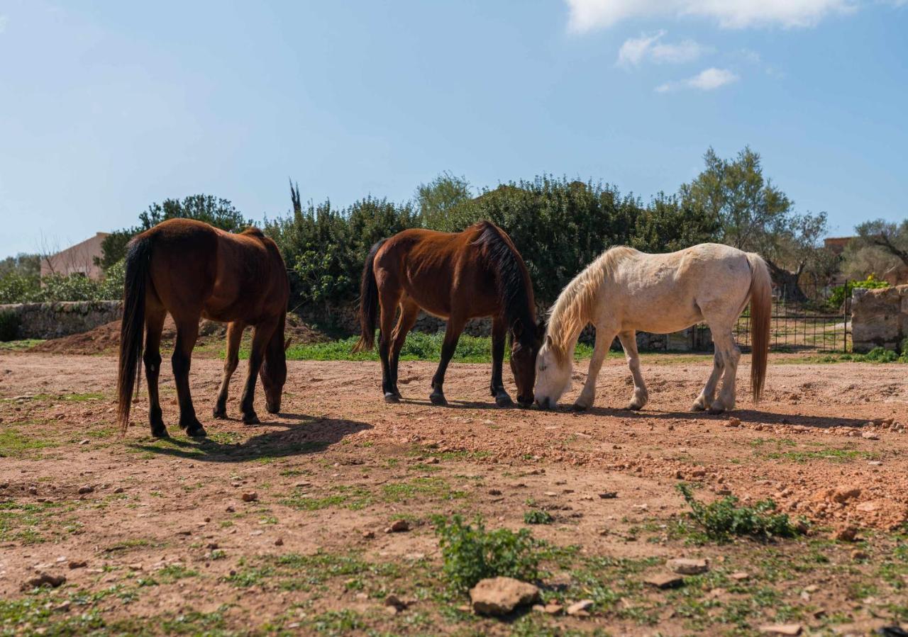 Apartamento Agroturismo Sa Canoveta Colonia de Sant Jordi Exterior foto